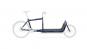 Bullitt Custom Bike Raw | SRAM NX Eagle Gruppe 1X12